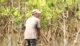 ternyata-ini-alasan-kenapa-ekowisata-mangrove-lombok-wajib-dikunjungi-689311d8f0adb