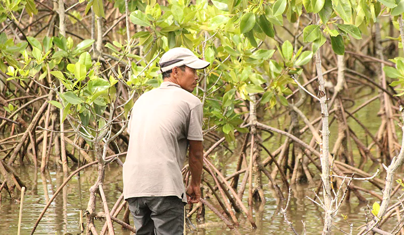 ternyata-ini-alasan-kenapa-ekowisata-mangrove-lombok-wajib-dikunjungi-689311d8f0adb