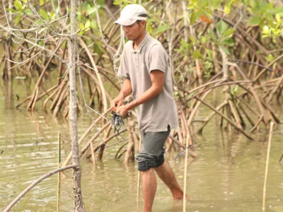 yayasan-ekowisata-bagek-kembar-27-6894342090640