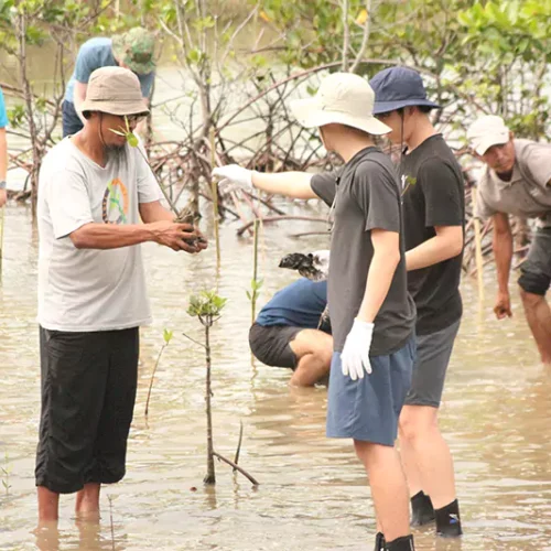 yayasan-ekowisata-bagek-kembar-35-68943428827cb