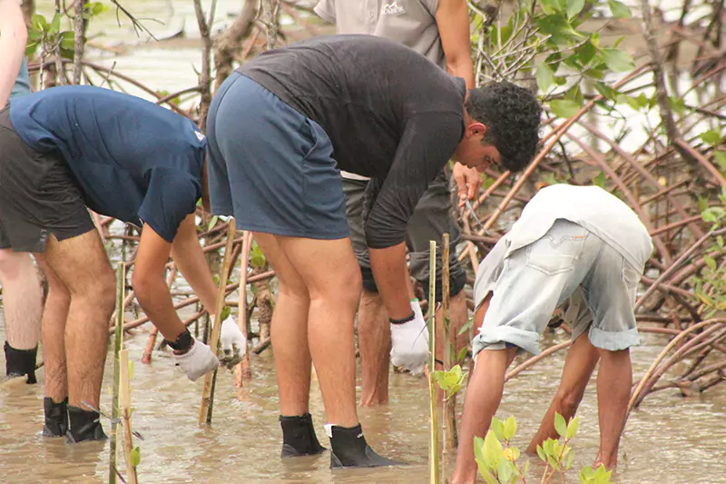yayasan-ekowisata-bagek-kembar-38-6894342b7abf1