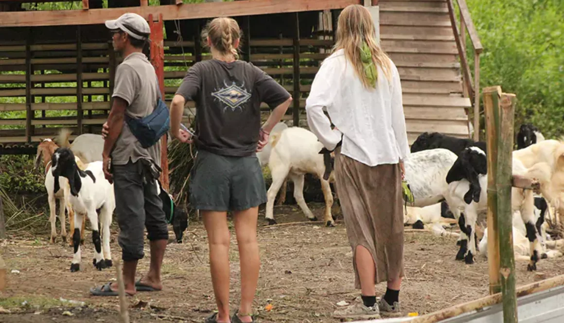 yayasan-ekowisata-bagek-kembar-42-6894344eac6e8