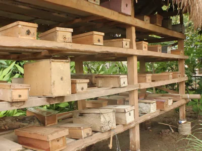 yayasan-ekowisata-bagek-kembar-69-6894346e5a8ad