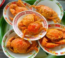 WhatsApp Image 2025-10-10 at 15.23.36_d390a808